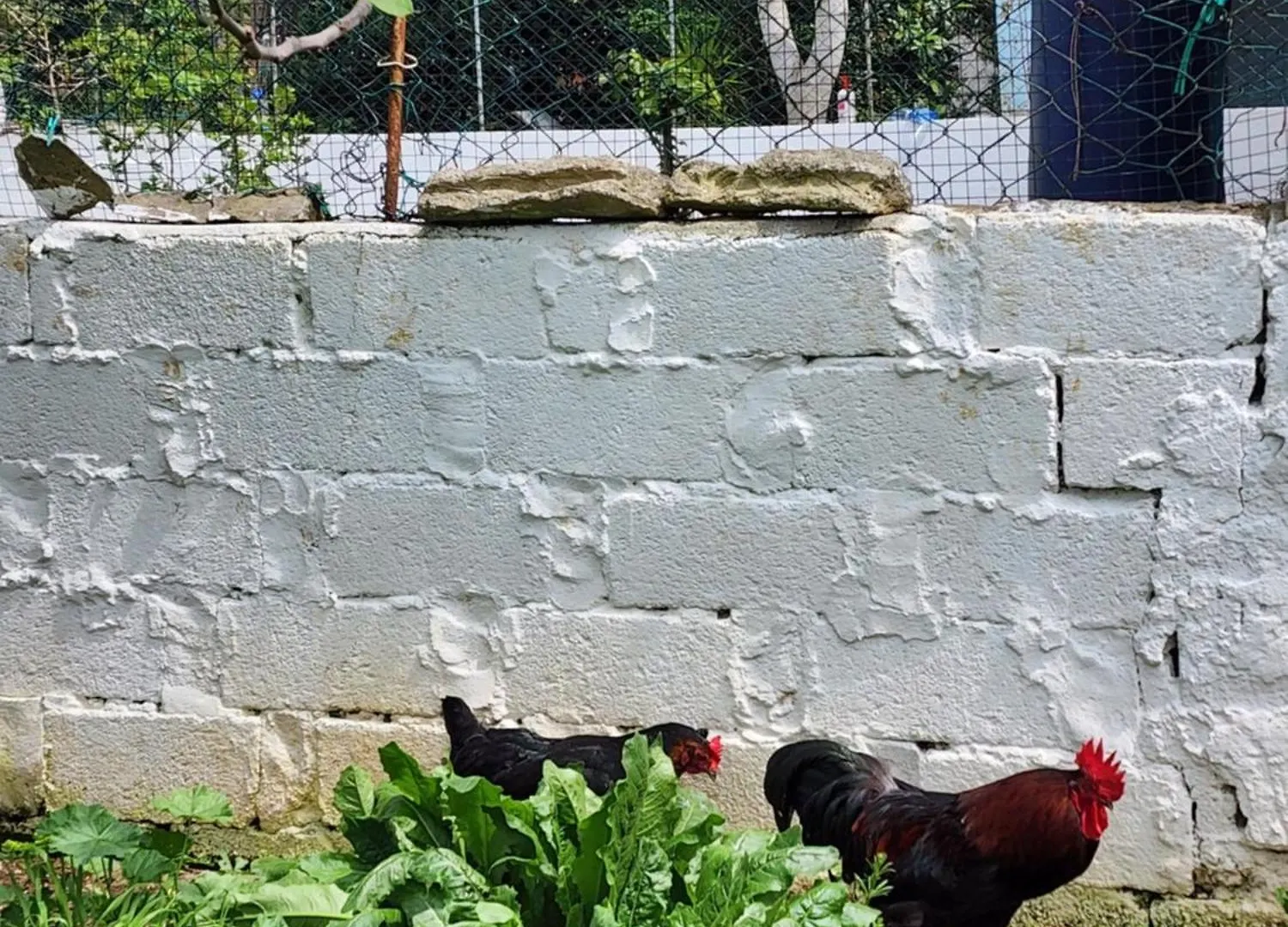 Two Bedroom Flat In The Garden At The Bosphorus Стамбул 0*,  Турция